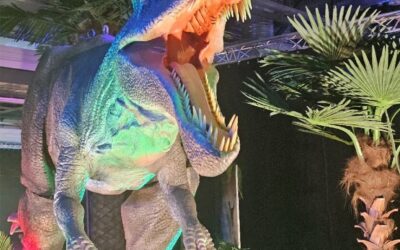 Auf in die Welt der Dinosaurier